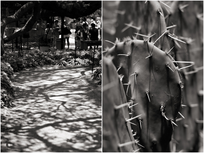 austin texas wedding photographer san antonio wedding photographer texas the alamo austin gourdoughs0006