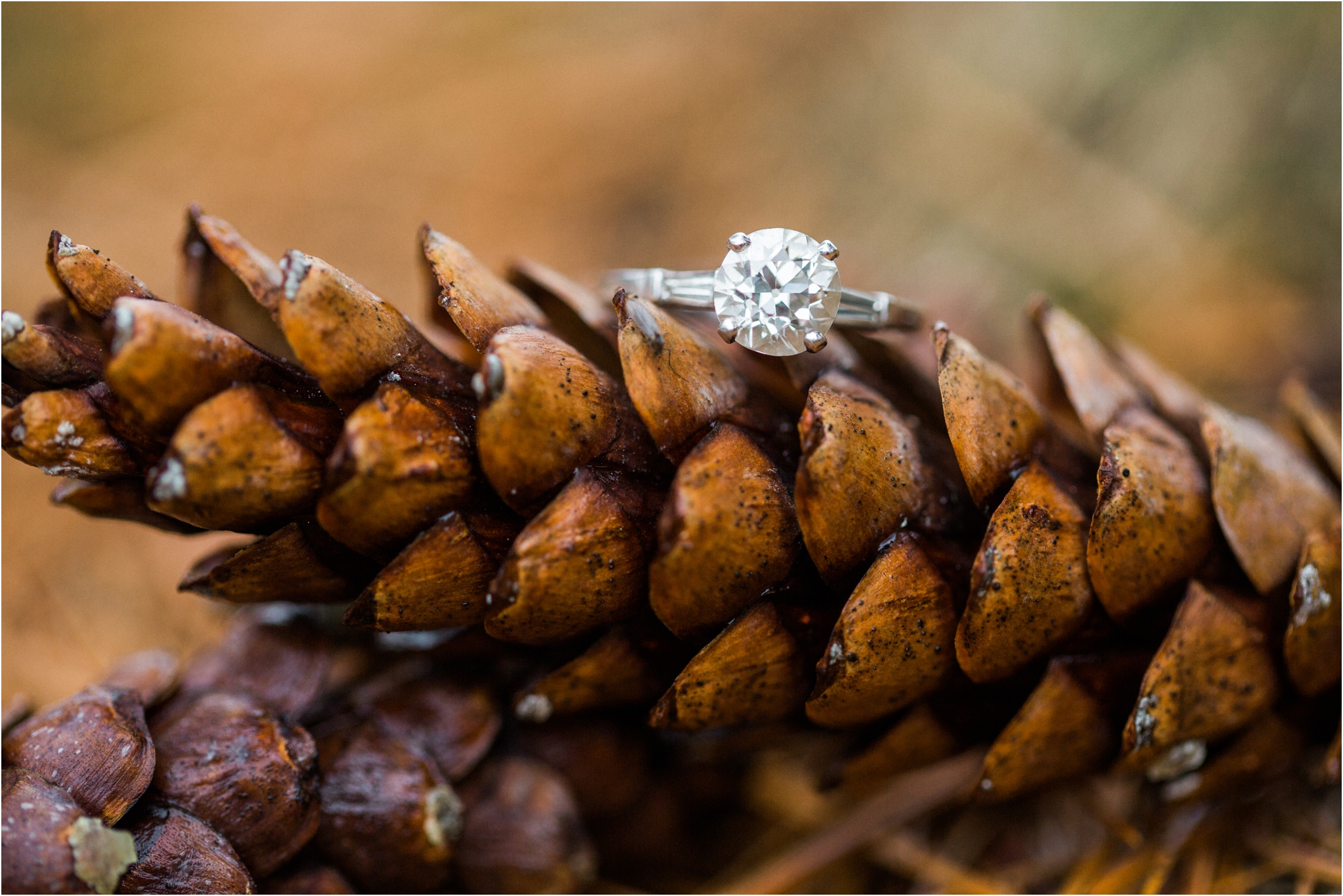 lake_winnipesaukee_engagement_session_0008.JPG