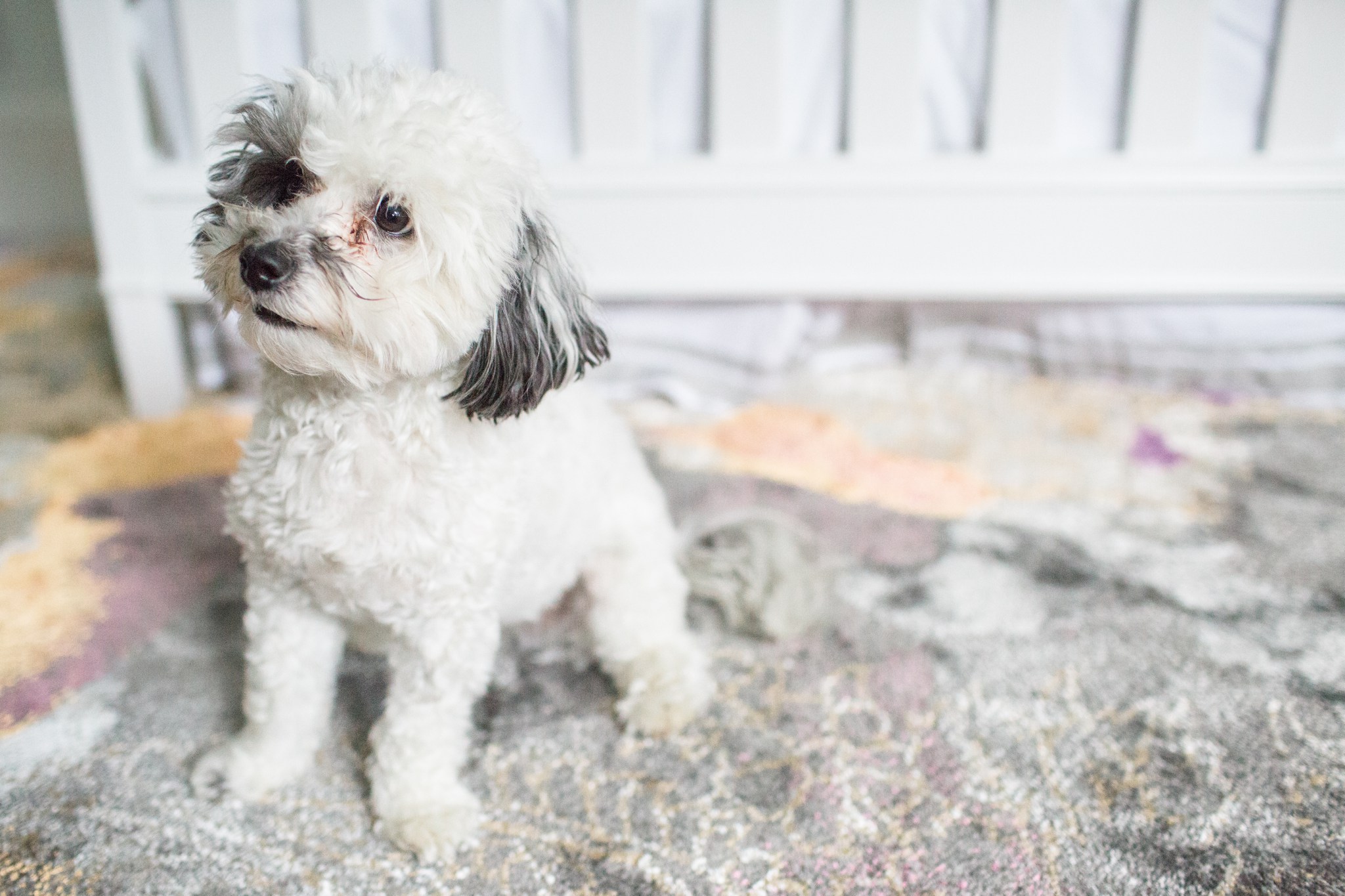 marblehead_newborn_session_Deborah_Zoe_0005.JPG