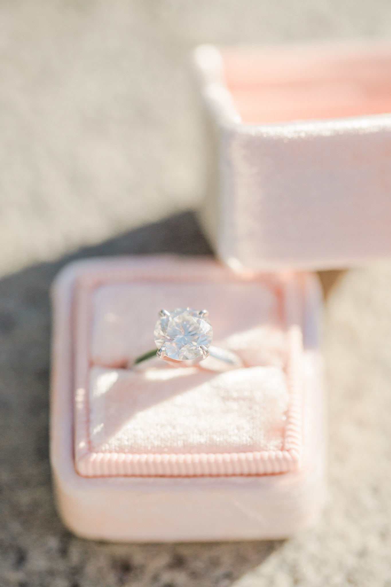 boston_public_garden_engagement_session_0010.JPG