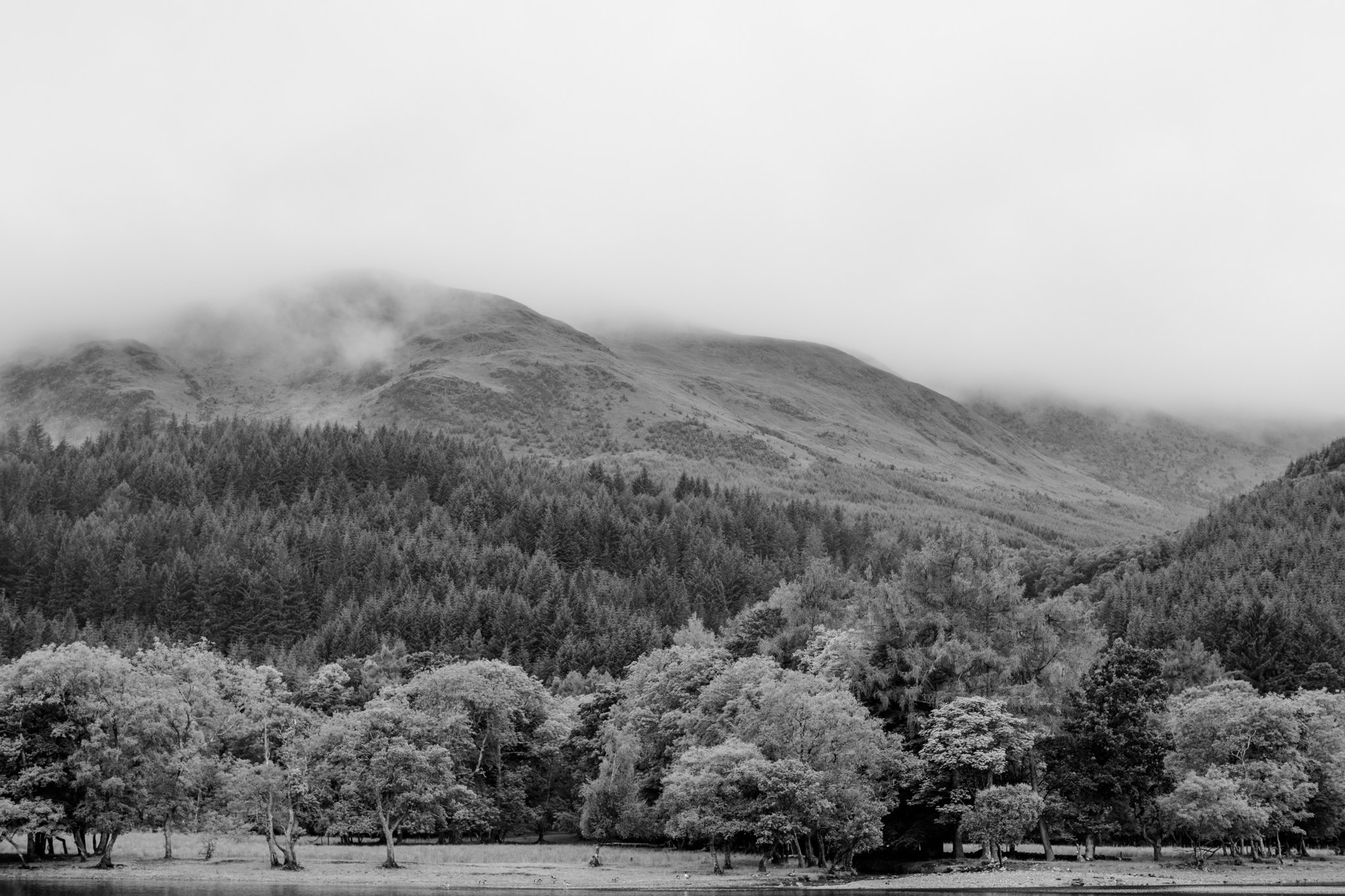 scotland_highlands_deborah_zoe_0029.JPG