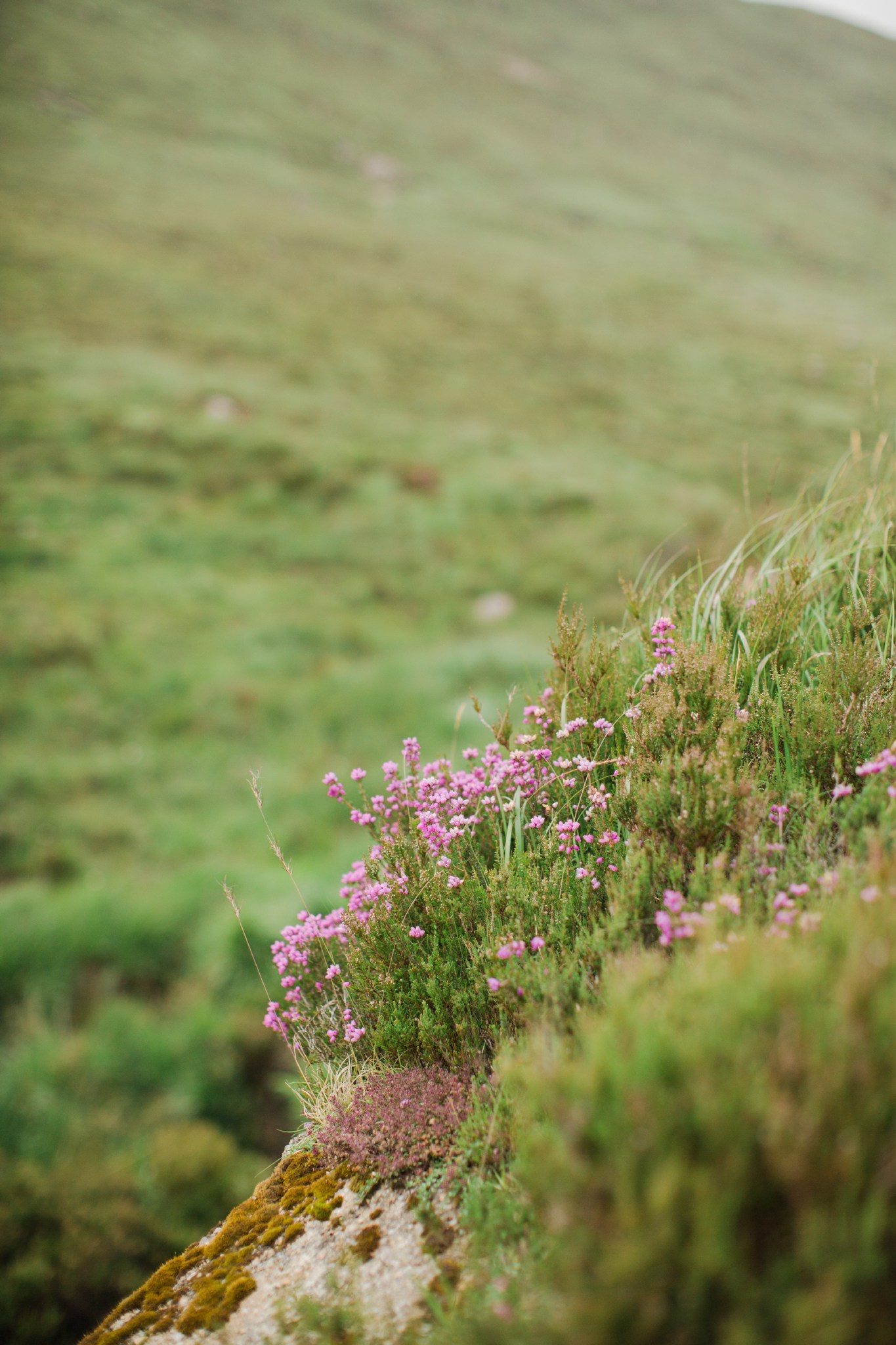 scotland_highlands_deborah_zoe_0044.JPG