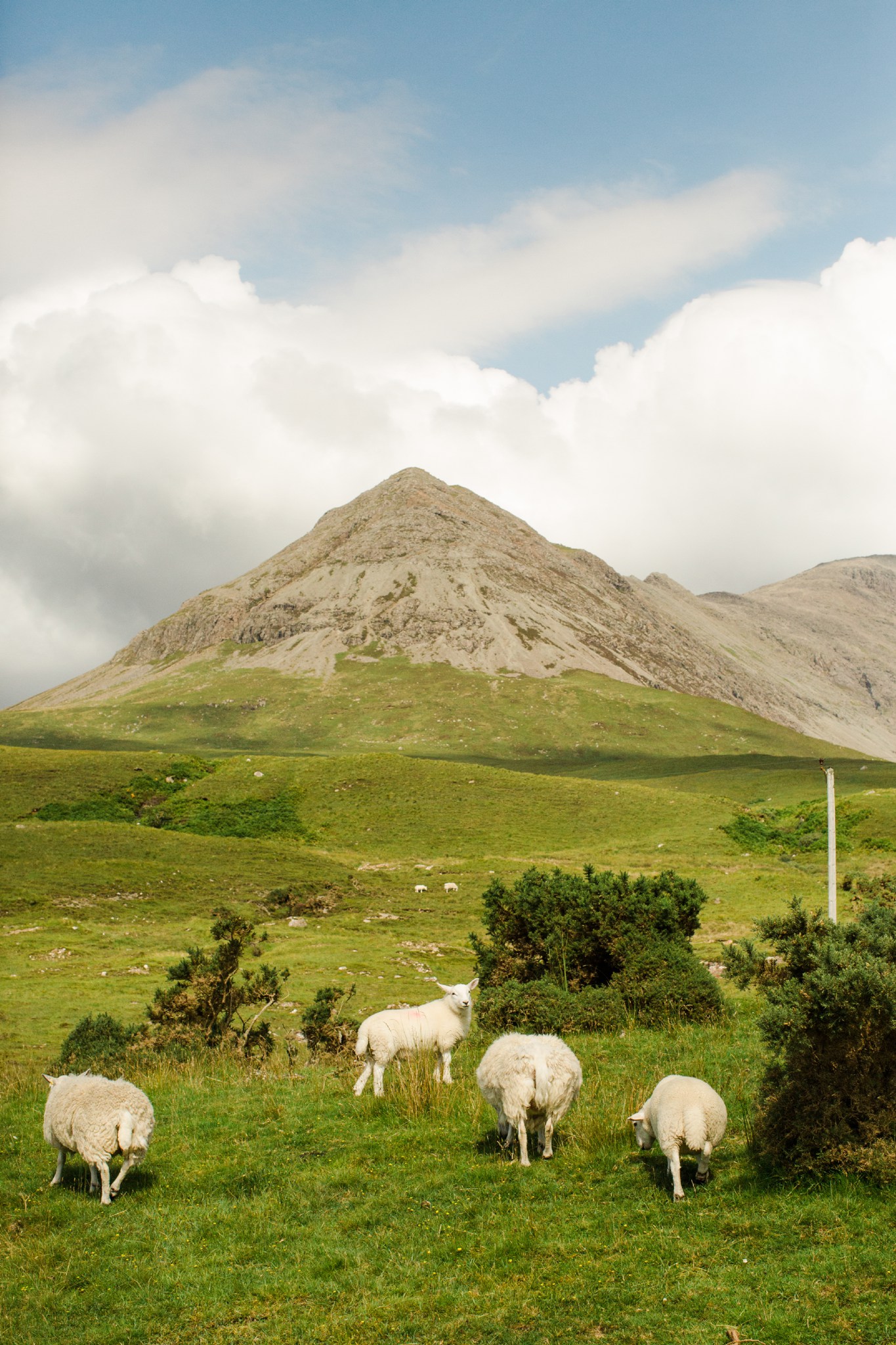 scotland_highlands_deborah_zoe_0080.JPG