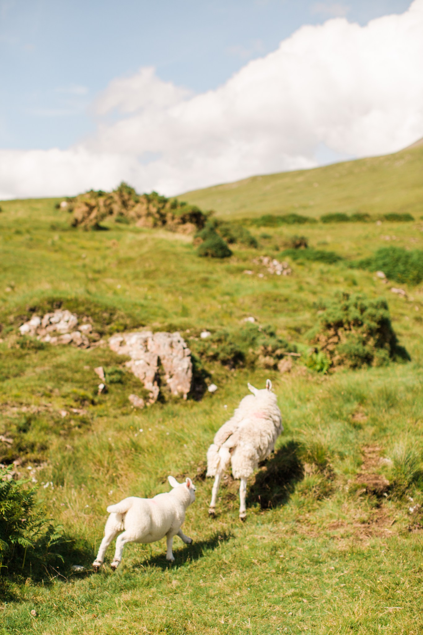 scotland_landscapes_deborah_zoe_photography_00002.JPG