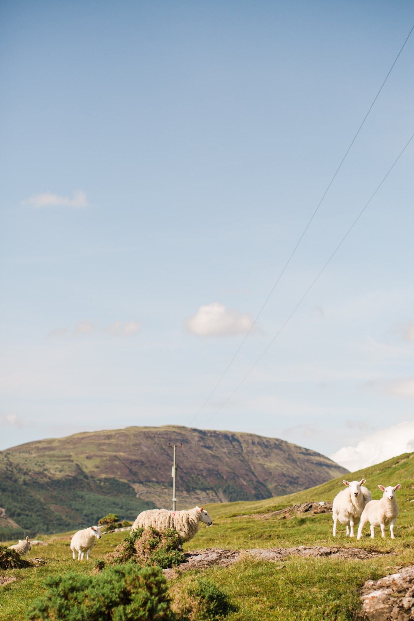 scotland_landscapes_deborah_zoe_photography_00005.JPG