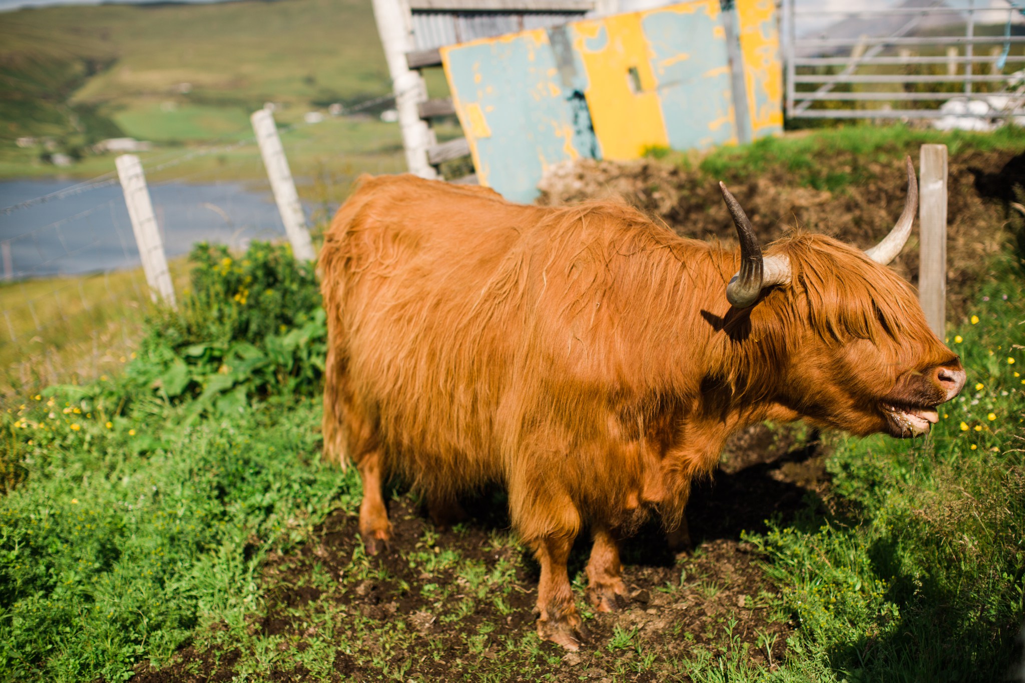 scotland_landscapes_deborah_zoe_photography_00008.JPG