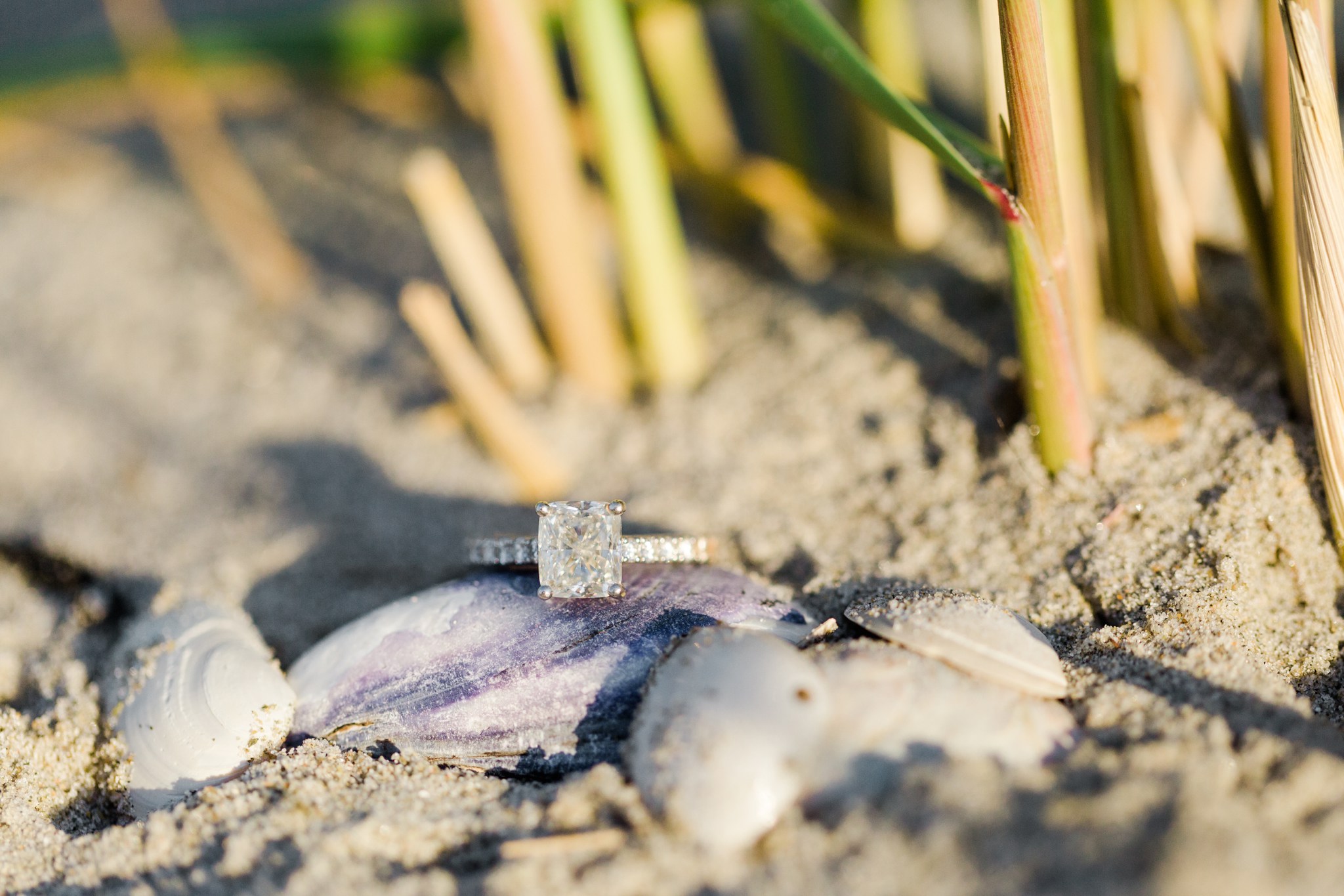 good_harbor_beach_engagement_photos_00008.JPG