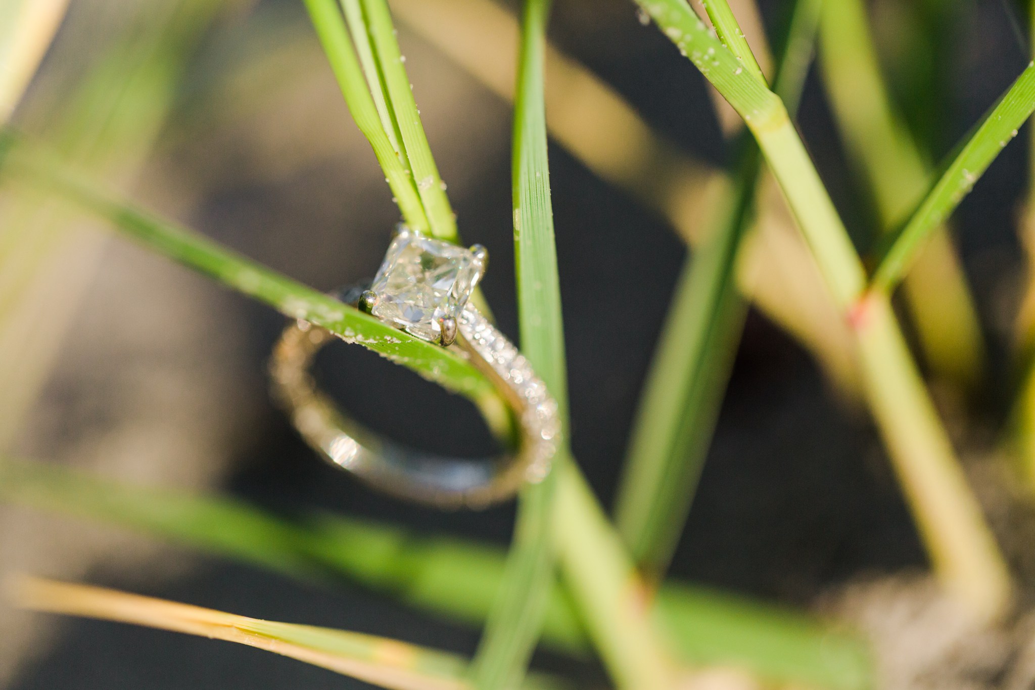 good_harbor_beach_engagement_photos_00014.JPG