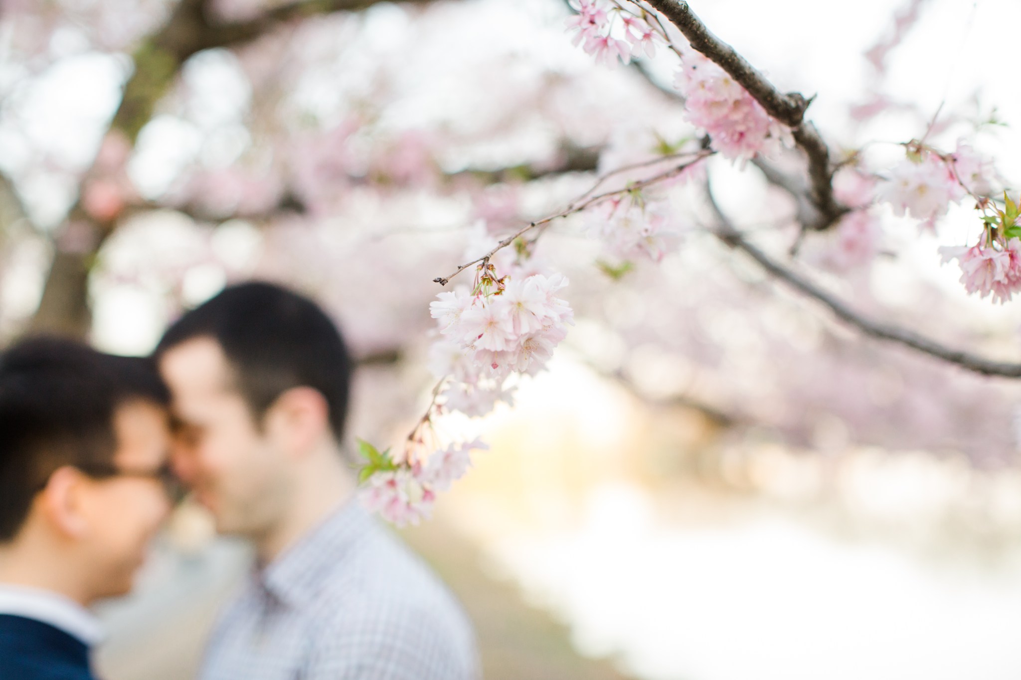 boston_spring_engagement_session_deborah_zoe_photography_00019.JPG