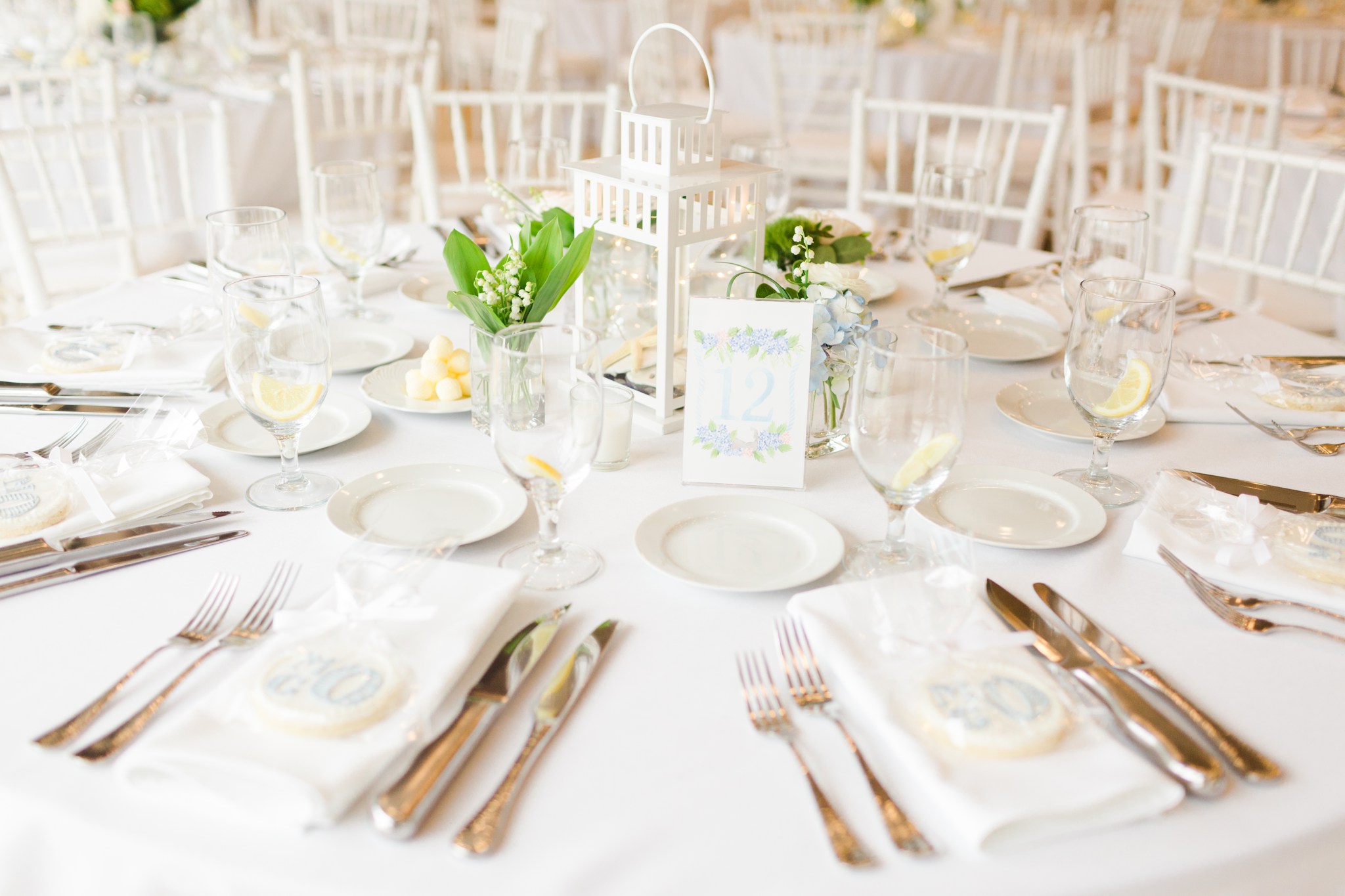 cape_cod_wedding_deborah_zoe_Photography_00057.JPG