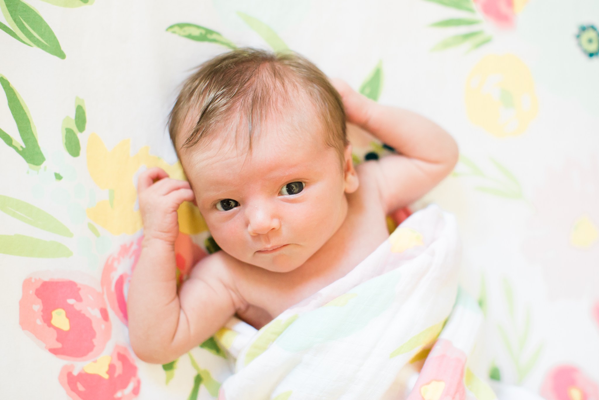 beverly_ma_newborn_portraits_00006.JPG