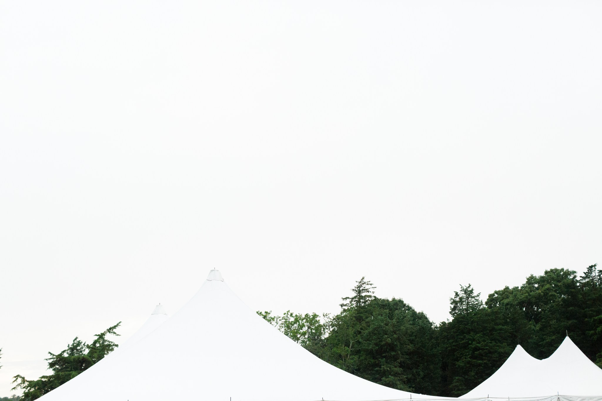 mount_hope_farm_wedding_photos_00044.JPG