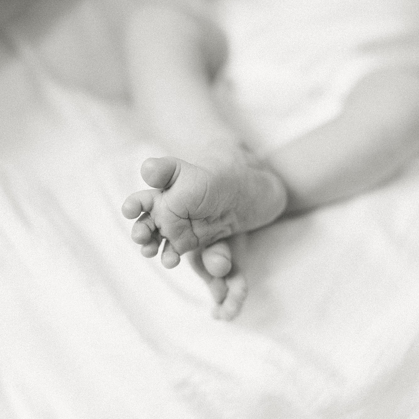 Black and white close up image of newborn feet. Boston Newborn Photographer Deborah Zoe Photography