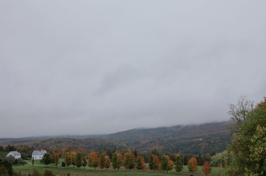 View of fall foliage in hills of Vermont. Vermont Wedding Photographer Deborah Zoe Photography