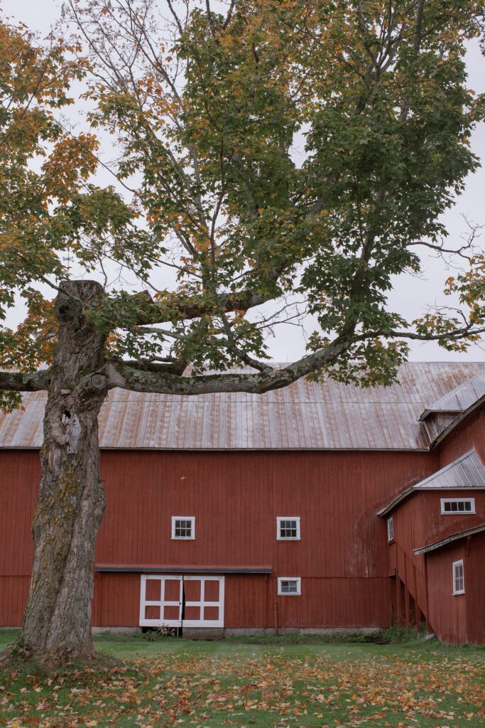 View of fall foliage in hills of Vermont. Vermont Wedding Photographer Deborah Zoe Photography